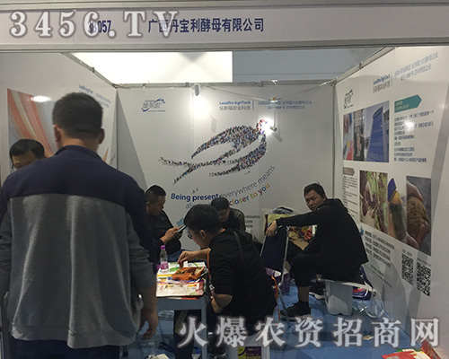 ��������ĸ�ذ���ϯ2018ɽ�|ֲ����(hu��)��