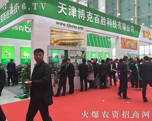 ���˰ل���2018ɽ�|ֲ����(hu��)�ϴ�Ů�����