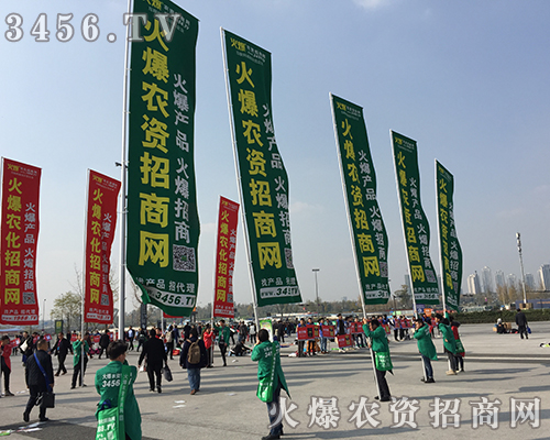 ֲ����(hu��)���r(n��ng)�Y���̾W(w��ng)�ڴ��c��������