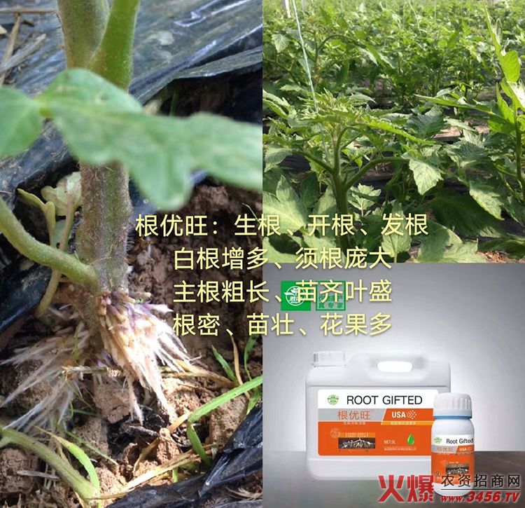 ������������Ƽ����޹�˾