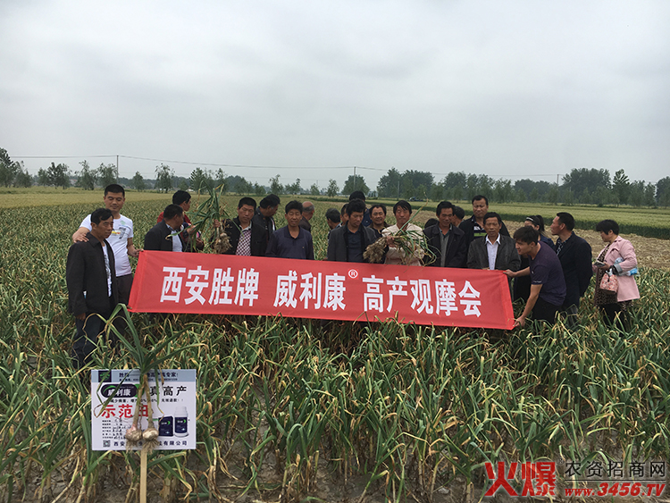 ������������Ƽ����޹�˾