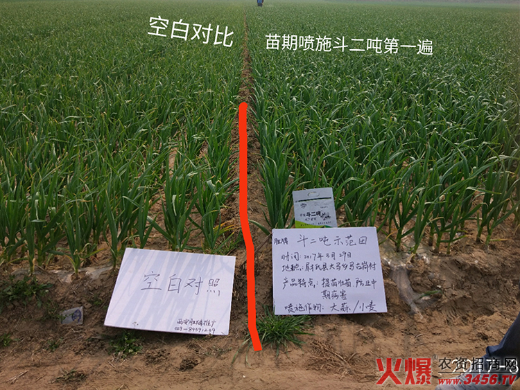 ������������Ƽ����޹�˾