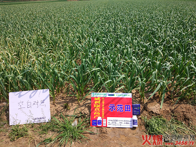 ������������Ƽ����޹�˾