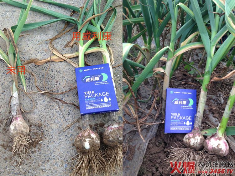 ������������Ƽ����޹�˾