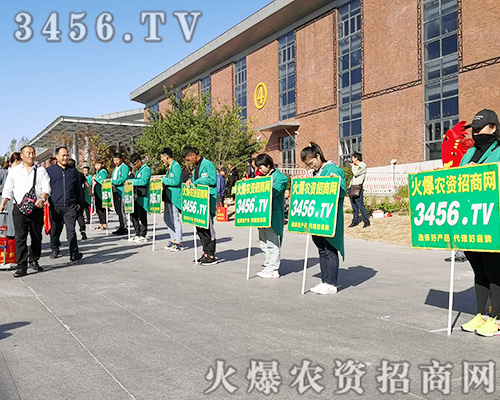 ���r(n��ng)�Y���̾W(w��ng)����ȭ����2019�L���r(n��ng)�Y����