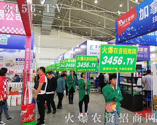 2019�L���r(n��ng)�Y�������r(n��ng)�Y�W(w��ng)�W���ǈ���