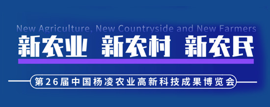 2019�����r(n��ng)�ߕ��r�g������