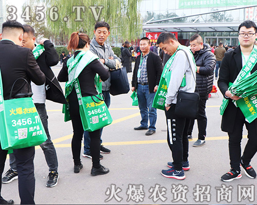 2019ɽ�|ֲ����(hu��)���r(n��ng)�Y�W(w��ng)��(qi��ng)���������M�@�hâ��