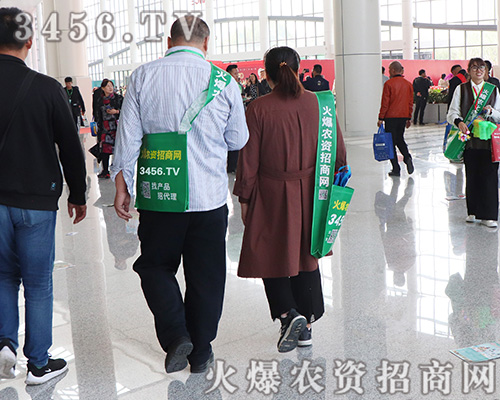 �R�������������2019ɽ�|ֲ����(hu��)��