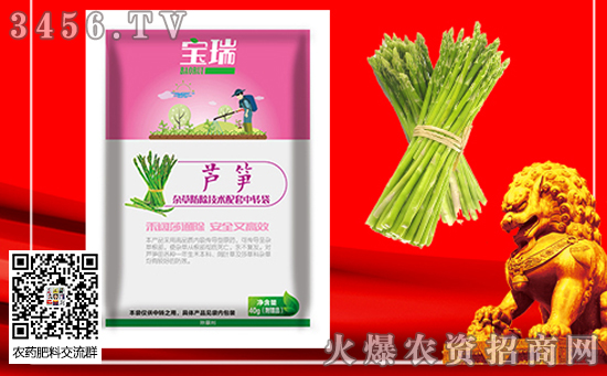 2020年種植蘆筍有前景嗎?價格多少錢一斤?種植效益如何? 2020年種植蘆筍有前景嗎?價格多少錢一斤?種植效益如何?