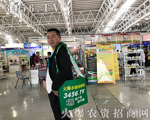 ��־���P(y��ng)����(zh��n)�������r(n��ng)�Y�W(w��ng)����(zh��n)2019ֲ����(hu��)��