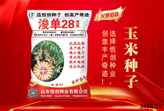 玉米購種季來臨,對種子有什么顧慮?看看不一樣的選種技巧! 玉米購種季來臨,對種子有什么顧慮?看看不一樣的選種技巧!