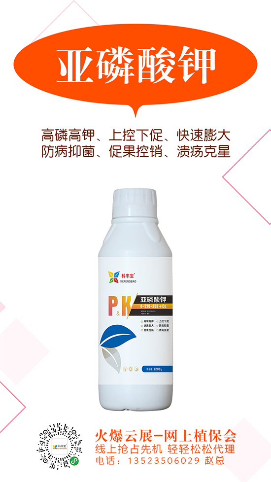 2020-5-21������������S��rһ�[