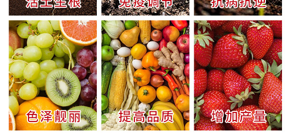 進(jìn)口果頓普蓓特種肥料海藻素、生物刺-亞瑟夫 進(jìn)口果頓普蓓特種肥料海藻素、生物刺-亞瑟夫