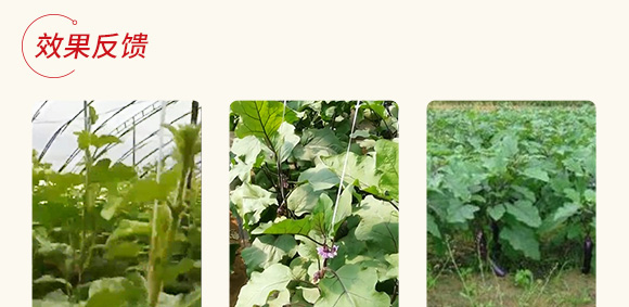 �r(n��ng)��΢���������һ̖(h��o)����-����S