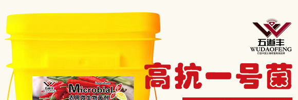 高抗1號(hào)菌(農(nóng)用微生物菌劑)-五道豐 高抗1號(hào)菌(農(nóng)用微生物菌劑)-五道豐