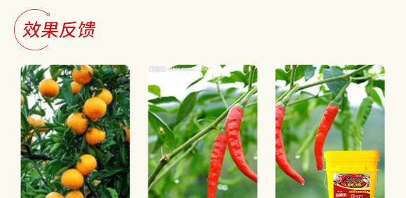 高抗1號(hào)菌(農(nóng)用微生物菌劑)-五道豐 高抗1號(hào)菌(農(nóng)用微生物菌劑)-五道豐