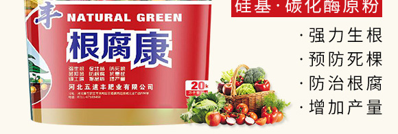 根腐康-五道豐 根腐康-五道豐