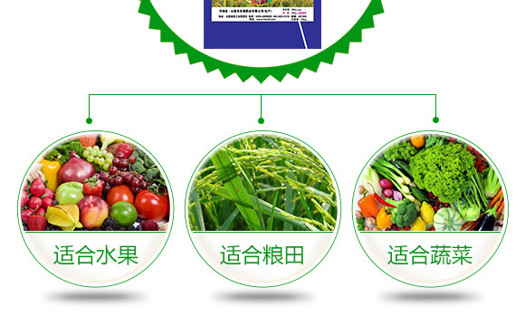 �ЙC(j��)-�o(w��)�C(j��)�������20-15-15-���и�-�r(n��ng)�Ѹ�