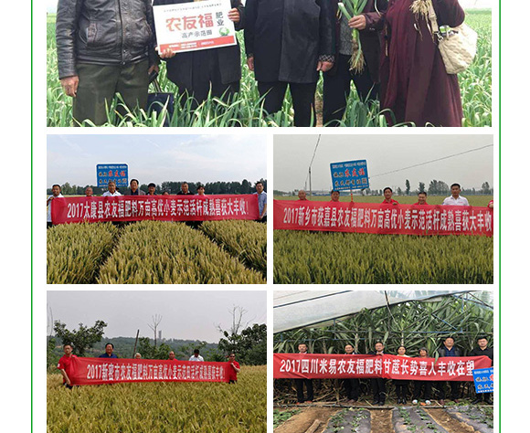 �ЙC(j��)-�o(w��)�C(j��)�������20-15-15-���и�-�r(n��ng)�Ѹ�