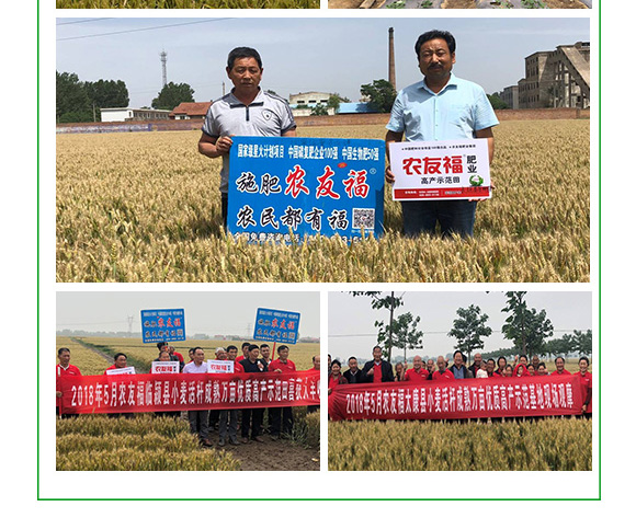 �ЙC(j��)-�o(w��)�C(j��)�������20-15-15-���и�-�r(n��ng)�Ѹ�