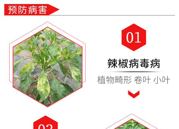 烯·羥·硫酸銅(80g)-倍爾農(nóng)化 烯·羥·硫酸銅(80g)-倍爾農(nóng)化