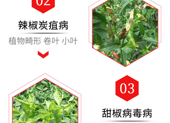 烯·羥·硫酸銅(80g)-倍爾農(nóng)化 烯·羥·硫酸銅(80g)-倍爾農(nóng)化