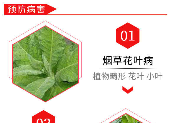 烯·羥·硫酸銅(20g)-倍爾金葉寶-倍爾農(nóng)化 烯·羥·硫酸銅(20g)-倍爾金葉寶-倍爾農(nóng)化