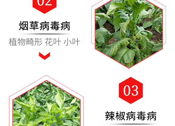 烯·羥·硫酸銅(20g)-倍爾金葉寶-倍爾農(nóng)化 烯·羥·硫酸銅(20g)-倍爾金葉寶-倍爾農(nóng)化