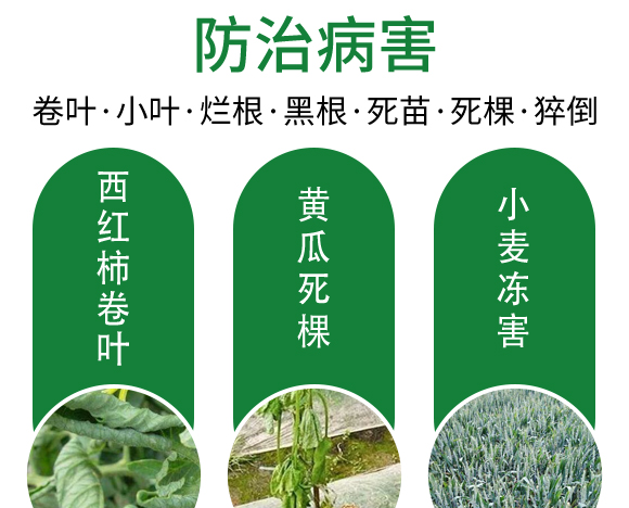 25ml綠葉先鋒-田園季豐-大豐肥業(yè) 25ml綠葉先鋒-田園季豐-大豐肥業(yè)