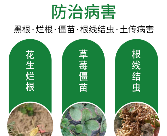 ?;ㄅ蚬?田園季豐-大豐肥業(yè) 保花膨果肥-田園季豐-大豐肥業(yè)