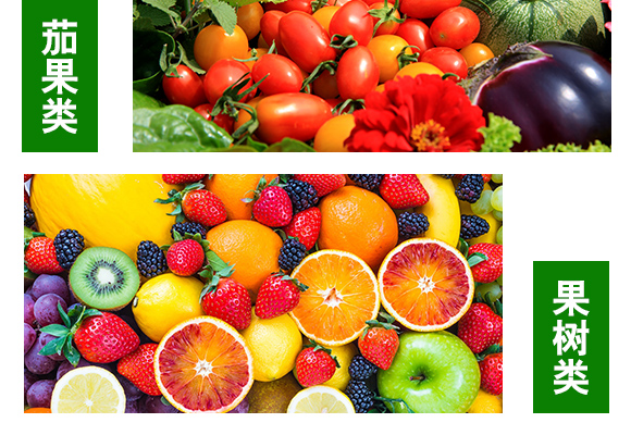 鍖椾含涔愮娉扮敓鐗╂妧鏈湁闄愬叕鍙鎬駭鍝佽鎯呴〉1_06.jpg 鍖椾含涔愮娉扮敓鐗╂妧鏈湁闄愬叕鍙鎬駭鍝佽鎯呴〉1_06.jpg