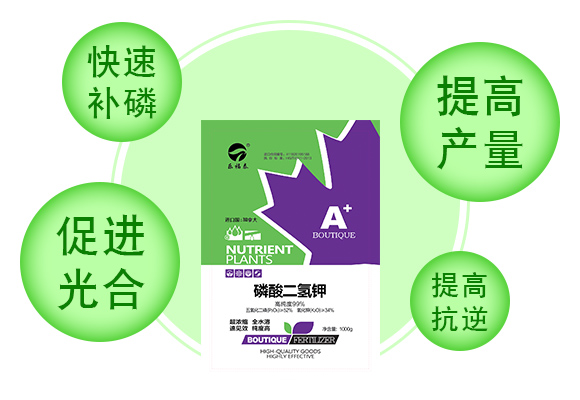 鍖椾含涔愮娉扮敓鐗╂妧鏈湁闄愬叕鍙鎬駭鍝佽鎯呴〉2_03.jpg 鍖椾含涔愮娉扮敓鐗╂妧鏈湁闄愬叕鍙鎬駭鍝佽鎯呴〉2_03.jpg