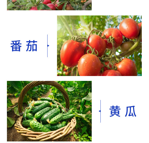 廣譜型植物劑-鈦極-沃肽美