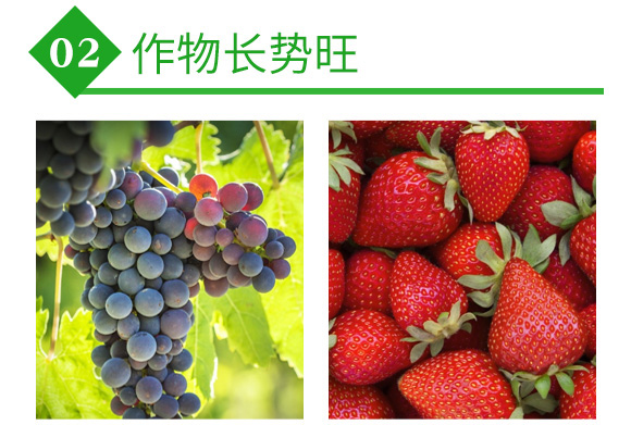 ����ý��؄�-����-�փ|��