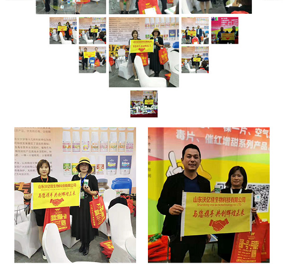 �ߜؐ���þ���΢����-�֠���(y��u)-�փ|��