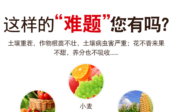 灞變笢鍐滀匠涓鐢熺墿縐戞妧鏈夐檺鍏徃鐢誨唽_04.jpg 灞變笢鍐滀匠涓鐢熺墿縐戞妧鏈夐檺鍏徃鐢誨唽_04.jpg