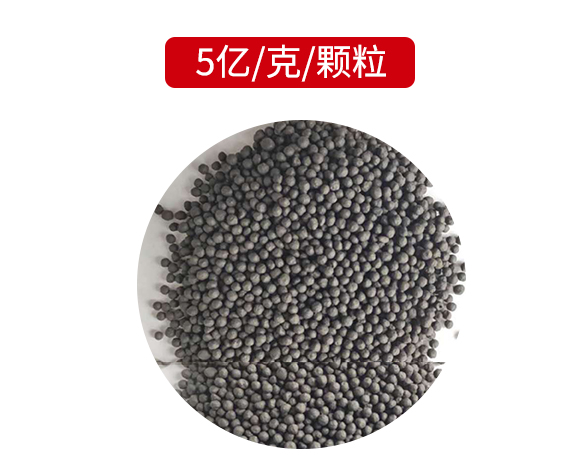 灞變笢鍐滀匠涓鐢熺墿縐戞妧鏈夐檺鍏徃鐢誨唽_12.jpg 灞變笢鍐滀匠涓鐢熺墿縐戞妧鏈夐檺鍏徃鐢誨唽_12.jpg