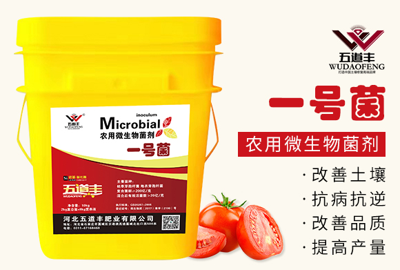 �r(n��ng)��΢���������һ̖(h��o)����-����S