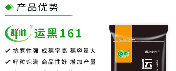 運黑161-黑小麥種子