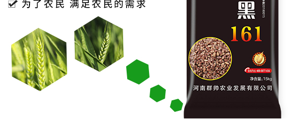 運黑161-黑小麥種子