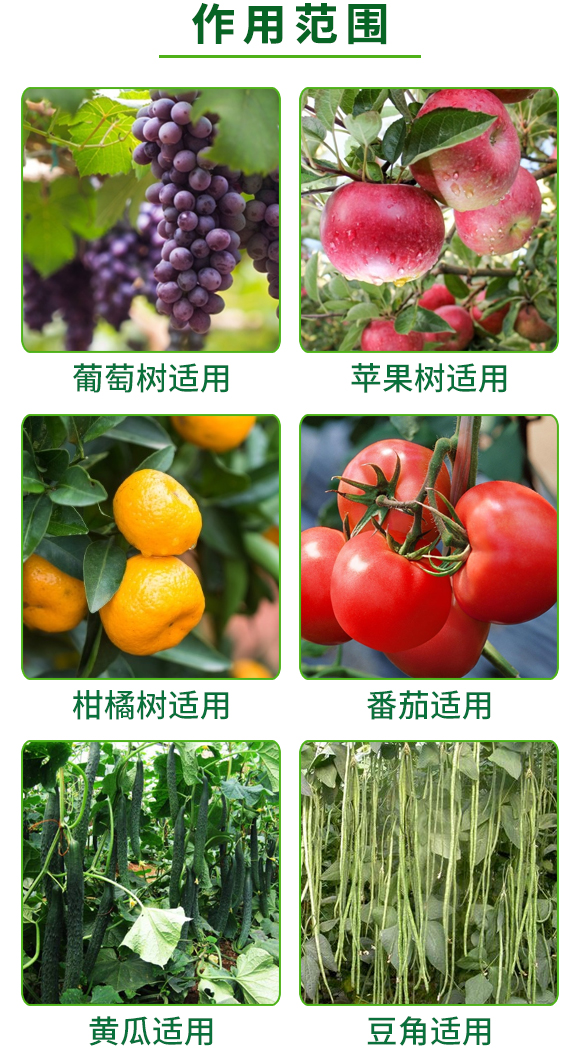 全能有機碳-海金剛-奧德福