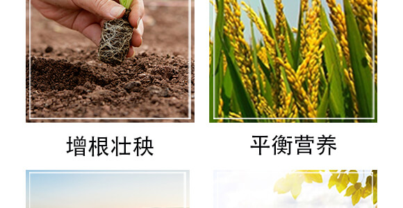 榛勮厫閰鎬腑寰湁鏈鴻偉鏂?灝忛粦鍔?鍐滀匠涓_06.jpg 榛勮厫閰鎬腑寰湁鏈鴻偉鏂?灝忛粦鍔?鍐滀匠涓_06.jpg