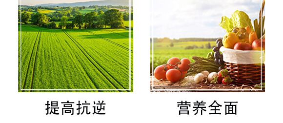 榛勮厫閰鎬腑寰湁鏈鴻偉鏂?灝忛粦鍔?鍐滀匠涓_07.jpg 榛勮厫閰鎬腑寰湁鏈鴻偉鏂?灝忛粦鍔?鍐滀匠涓_07.jpg