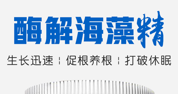 ø�⺣�徫-�����a-���ؿ�