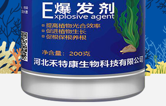 ø�⺣�徫-�����a-���ؿ�