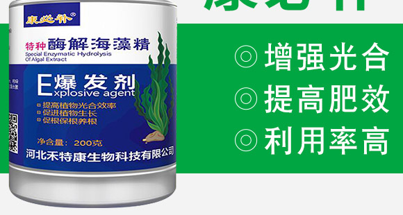 ø�⺣�徫-�����a-���ؿ�