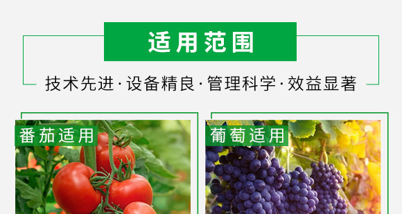 ø�⺣�徫-�����a-���ؿ�