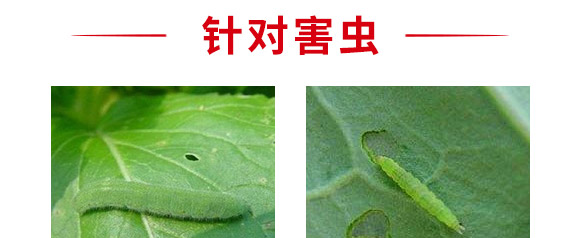 ���Ժ��x���ýM���ײ�-혈��r(n��ng)�I(y��)