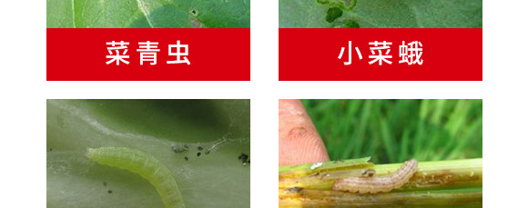 ���Ժ��x���ýM���ײ�-혈��r(n��ng)�I(y��)